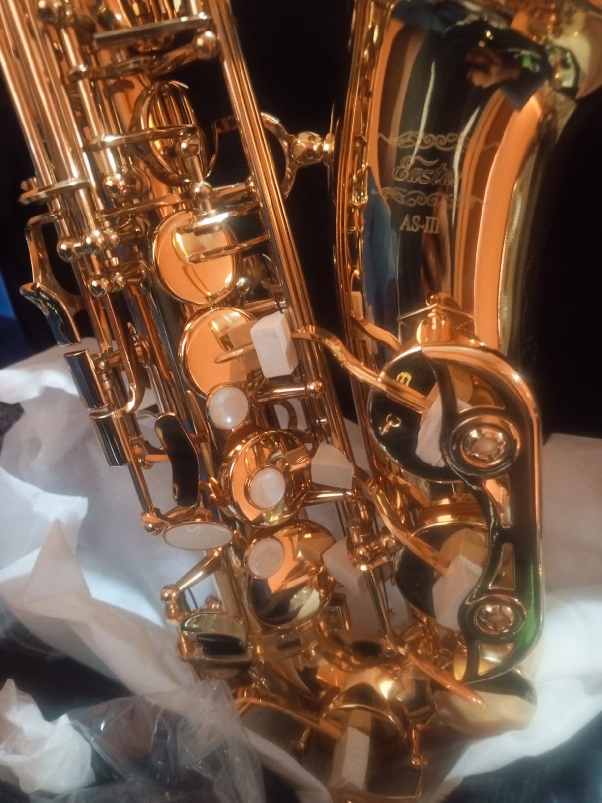 Eastar Student Alto Saxophone E Flat for Beginner Sax Full Kit with Carrying Case, Mouthpiece, Straps, Reeds, Stand, Golden Lacquer, AS-II customer photo 2