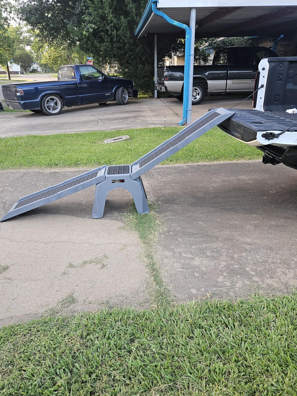 WeatherTech PetRamp - Non-Slip, Portable Dog Ramp for Large Dogs to 300 Pounds, 67