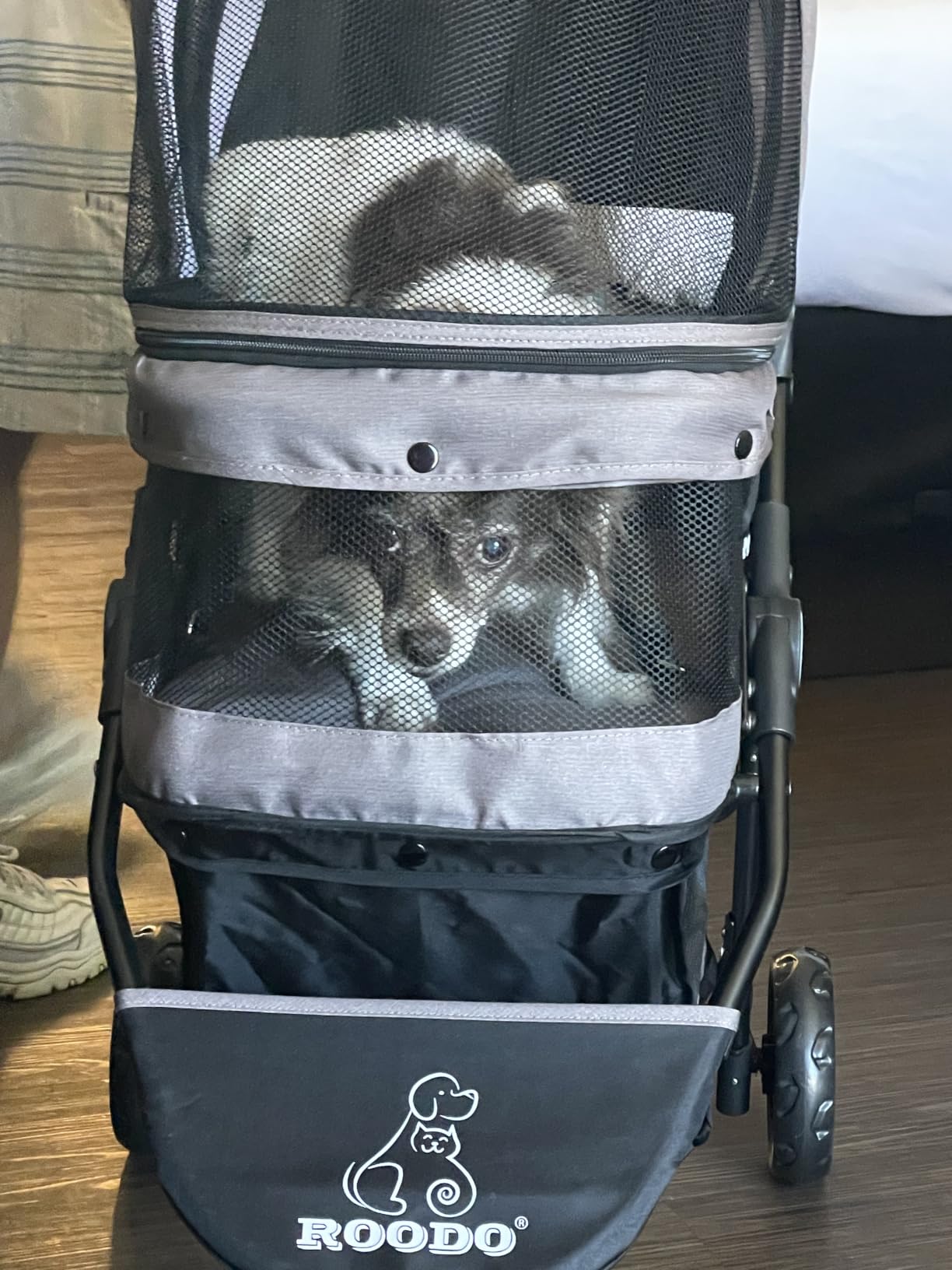 ROODO Escort 3 Wheel Dog Cat Pet Stroller for Small/Medium Dogs Cats Best Lightweight Foldable Portable Compact Jogger All Terrain Travel Pet Gear System Puppy Doggie Bunny Kitty Stroller(Grey) customer photo 2