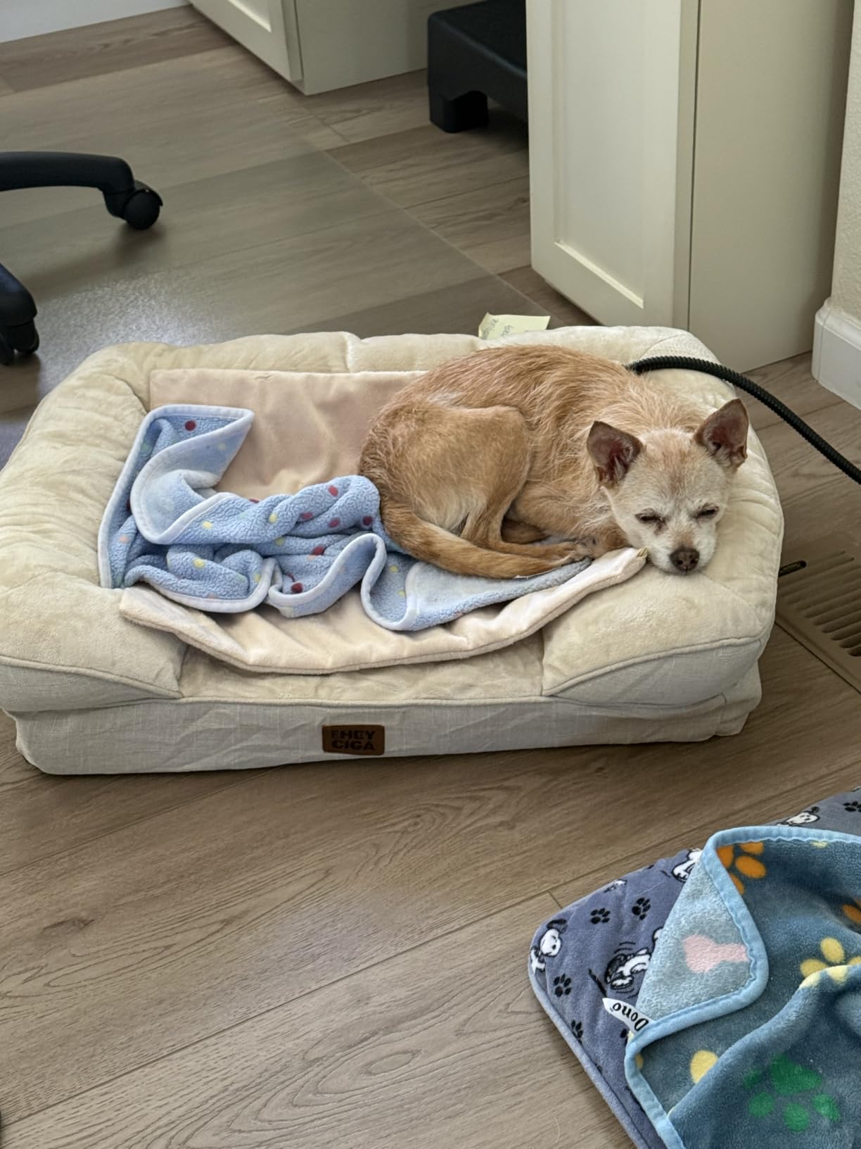 NICREW Pet Heating Pad for Dogs and Cats, Heated Cat Bed with Steel-Wrapped Cord and Soft Fleece Cover, 17.7 x 15.7 Inches, 30 Watts customer photo 2