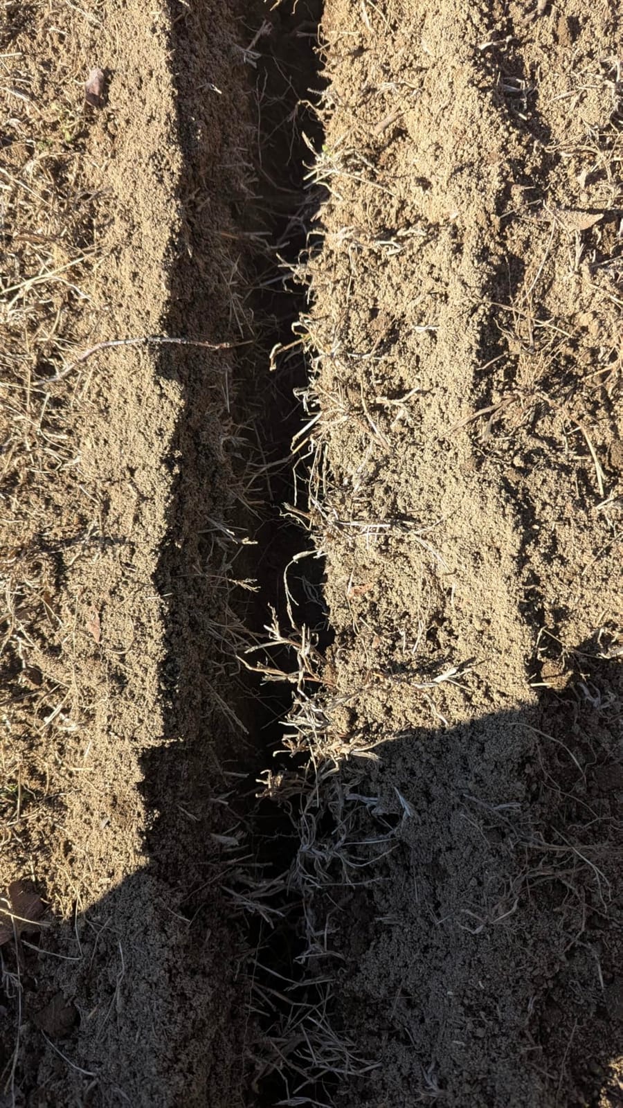 TrenchBadger Pro 12 Mini Trencher, 2.5