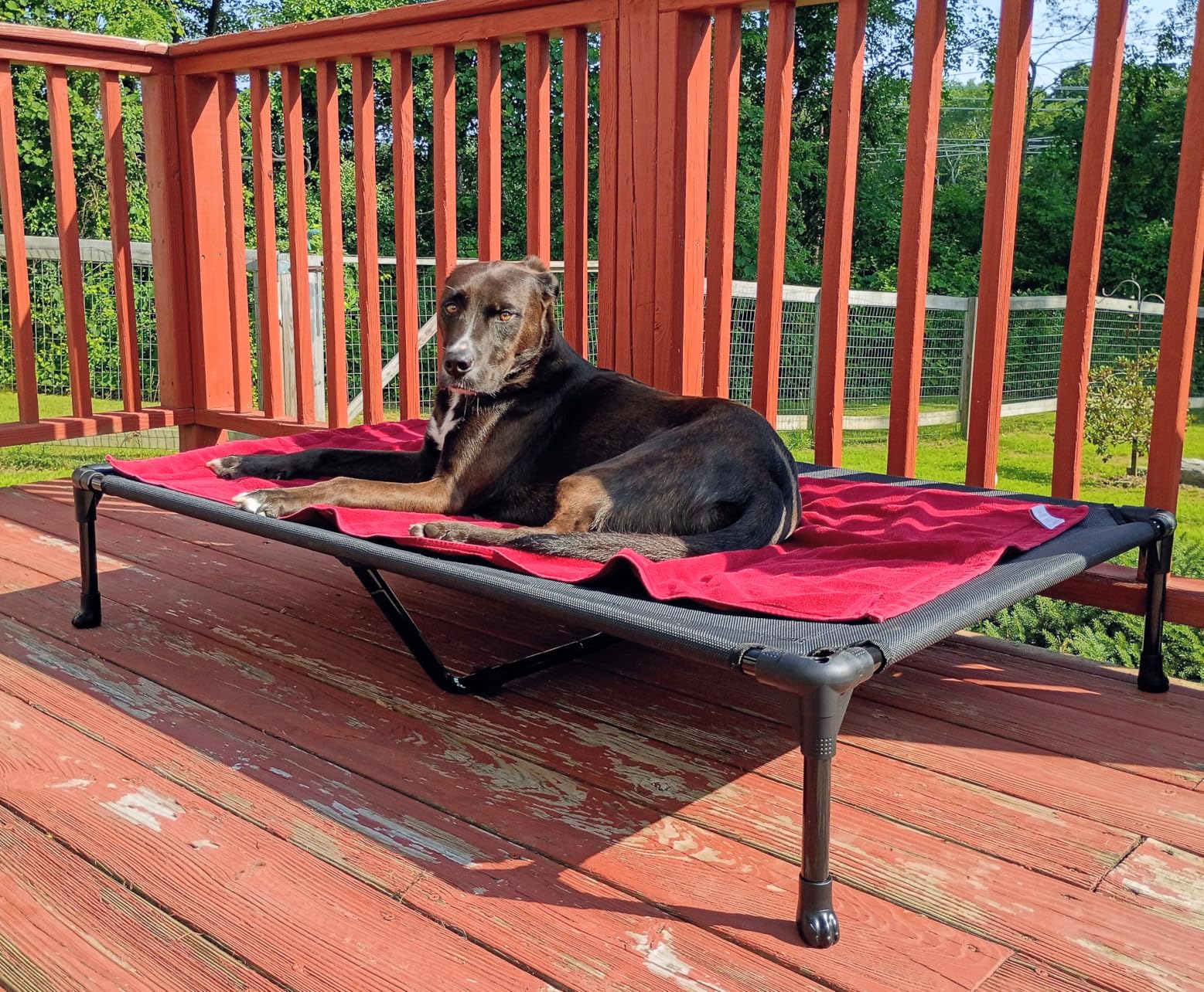 Veehoo Outdoor Elevated Dog Bed Large Sized Dogs, Large Cooling Raised Dog Cots Beds Training Platform Off Ground Hammock with Breathable Mesh, No-Slip Feet, 42