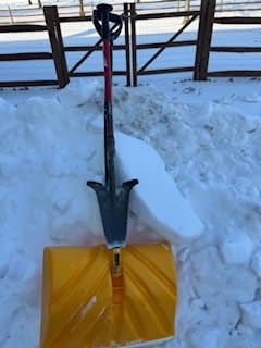 Root Slayer 22411 Mini Digger Garden Shovel, Serrated Blade, Red customer photo 1