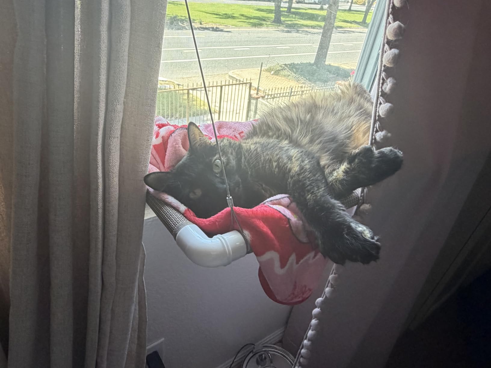 PEFUNY Cat Window Hammock - Mess-Free Waterproof Cats Window Perch for Large Cats, Strong Suction Cup Hammock with Flannel Cover, Indoor Cat Seat, Beige customer photo 1