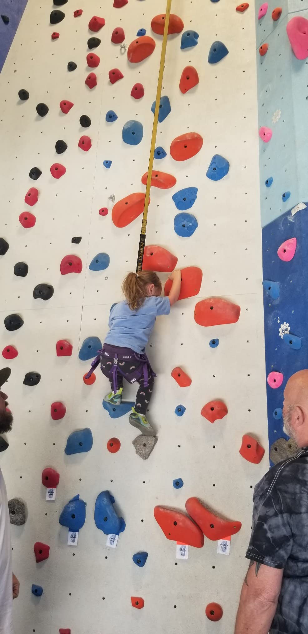 PETZL MACCHU Kids' Rock Climbing Harness | Adjustable Seat Harness for Children Less Than 40kg / 88 lbs customer photo 2