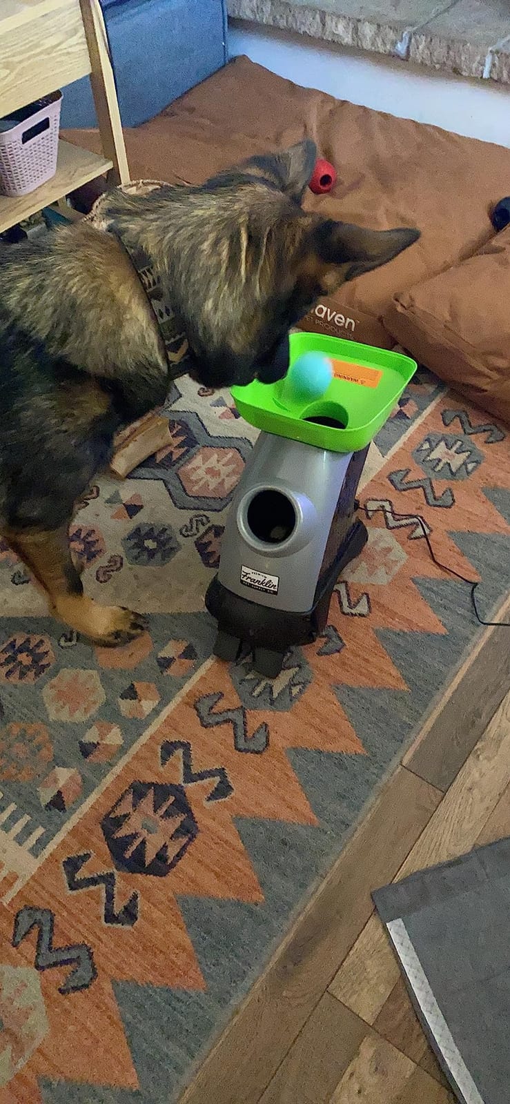 Franklin Pet Supply Ready Set Fetch Automatic Tennis Ball Launcher Dog Toy - Authentic Tennis Ball Thrower - Launches up to 40' - Interactive Pet Toy | Plug-In Power Adapter, No Batteries Required, Adjustable Throw Distance, Audible Safety Alert, Great For Large + Medium Dogs customer photo 2