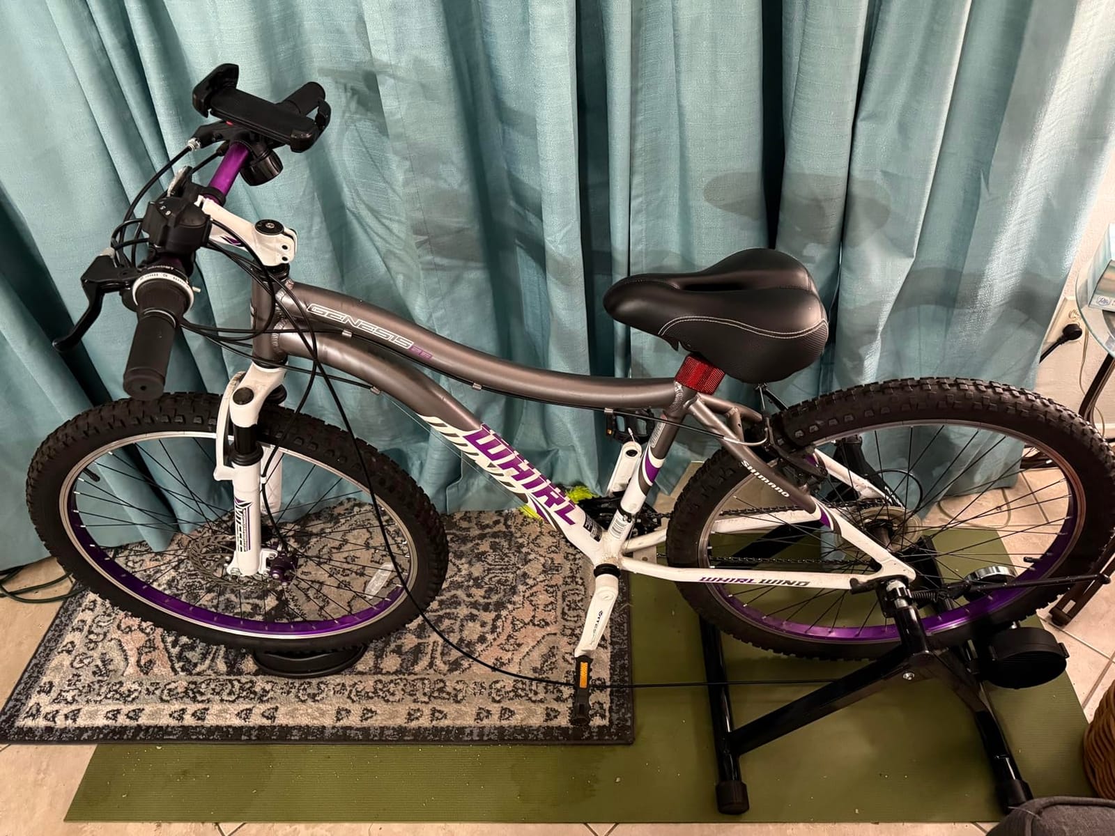 Alpcour Bike Trainer Stand for Indoor Riding - Portable Foldable Magnetic Stainless Steel Indoor Trainer customer photo 1