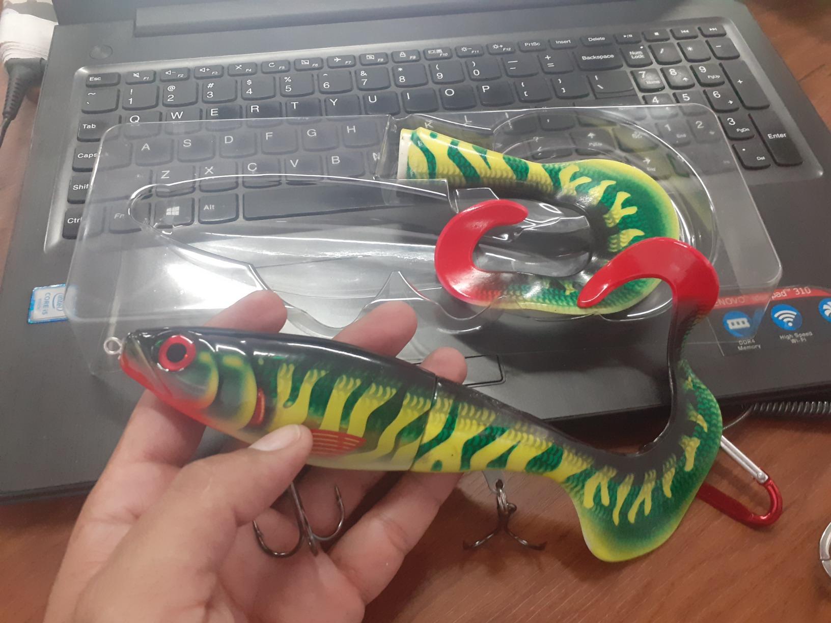 Rapala X-Rap Otus XROU-25 Fishing Lure - 25cm Curl Tail Predator Bait - 0.5-1m Running Depth - ABS Body with PVC Tail - VMC Hooks customer photo 1