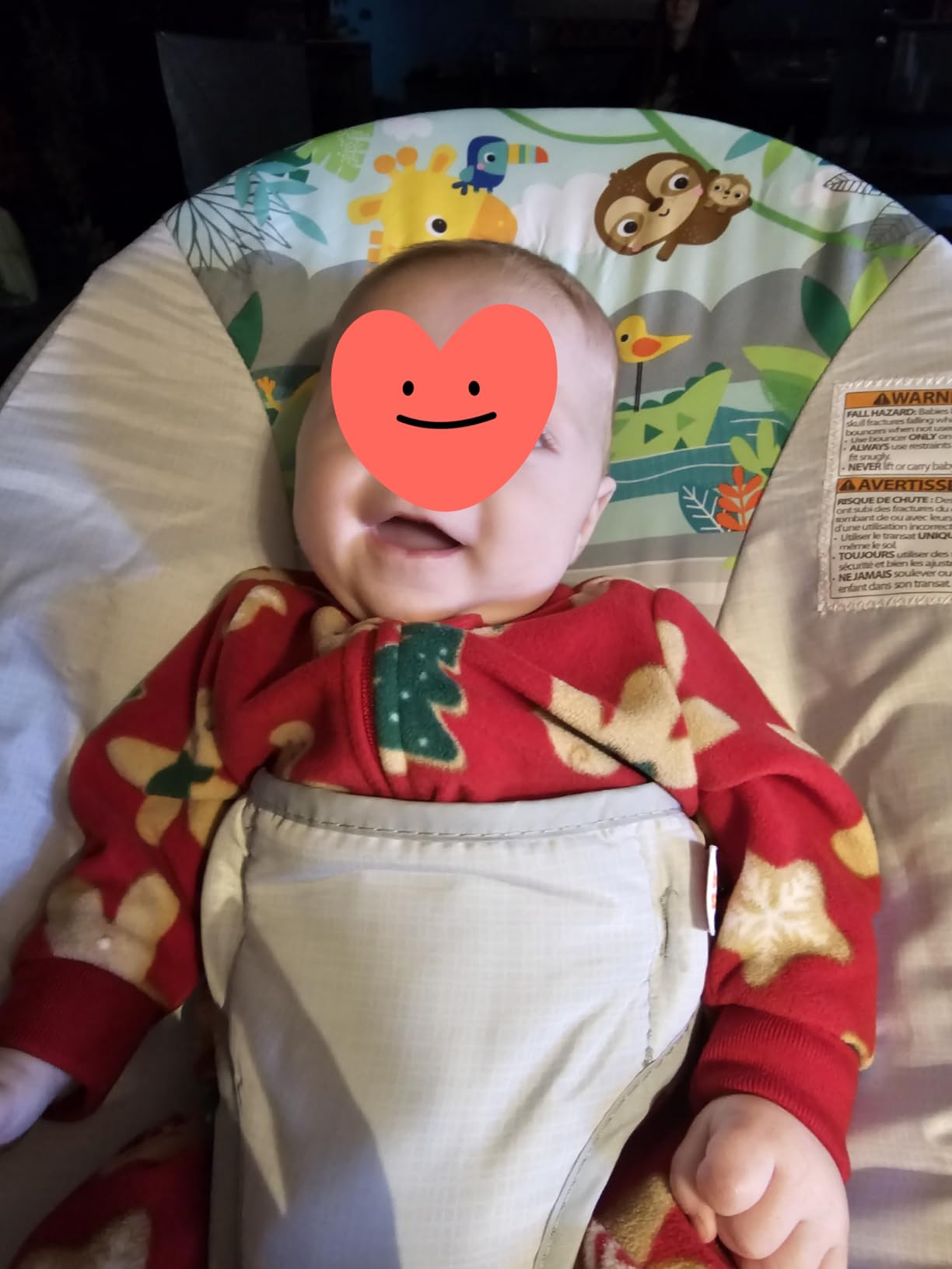 Bright Starts Baby Bouncer Soothing Vibrations Infant Seat - Removable Toy Bar, Nonslip Feet, 0-6 Months Up to 20 lbs (Safari Fun) customer photo 1