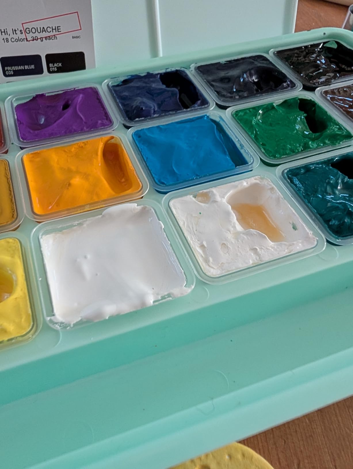 HIMI Gouache Paints Set, 18 Colors, 30g, jelly gouache paint set, Non Toxic Paint for Canvas and Paper, Art Supplies for Professionals, and More (Green Case) customer photo 1