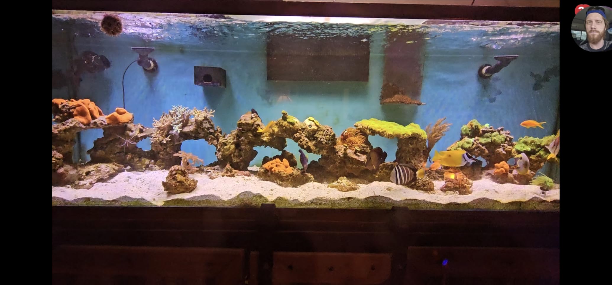 VIPARSPECTRA 165W LED Aquarium Light Dimmable Full Spectrum LED Reef Lights | LED Lamps for Coral Saltwater Fish Tank, Remote/Timer Control, Programmable Auto On/Off, Dual Channel Brightness 0-100% customer photo 1