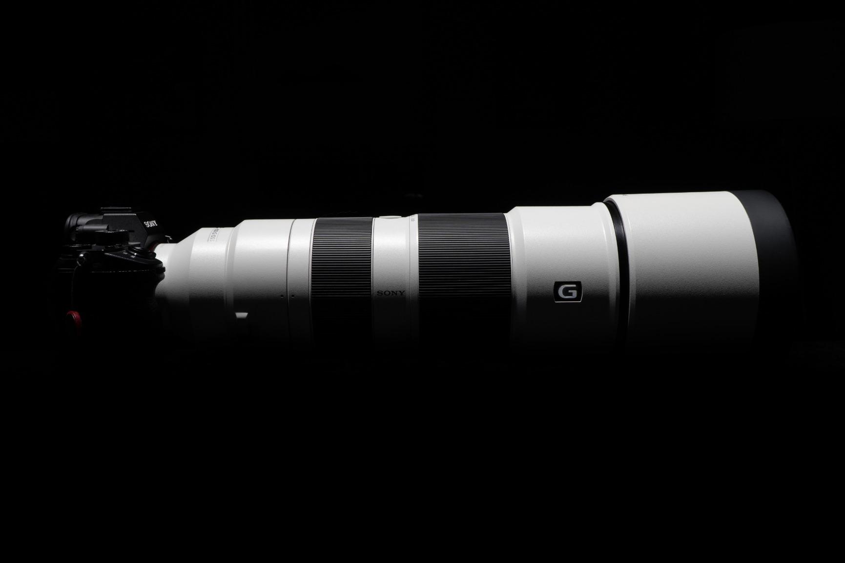 Sony FE 200-600mm f/5.6-6.3 G OSS Super Telephoto Zoom Lens customer photo 2