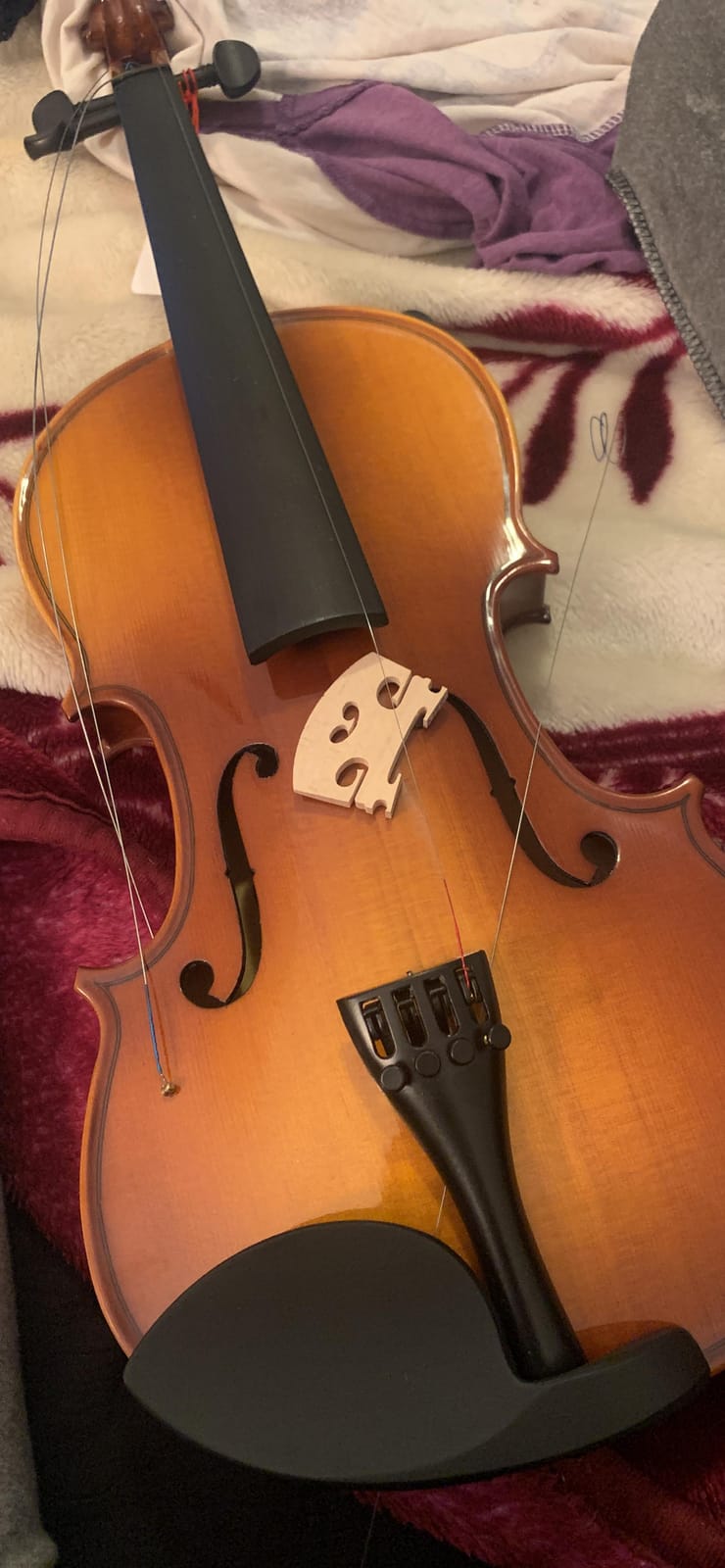 Eastar 4/4 Violin Set Full Size Fiddle Solidwood for Adults with Hard Case, Shoulder Rest, Rosin, Two Bows, Clip-on Tuner and Extra Strings, EVA-330 customer photo 2