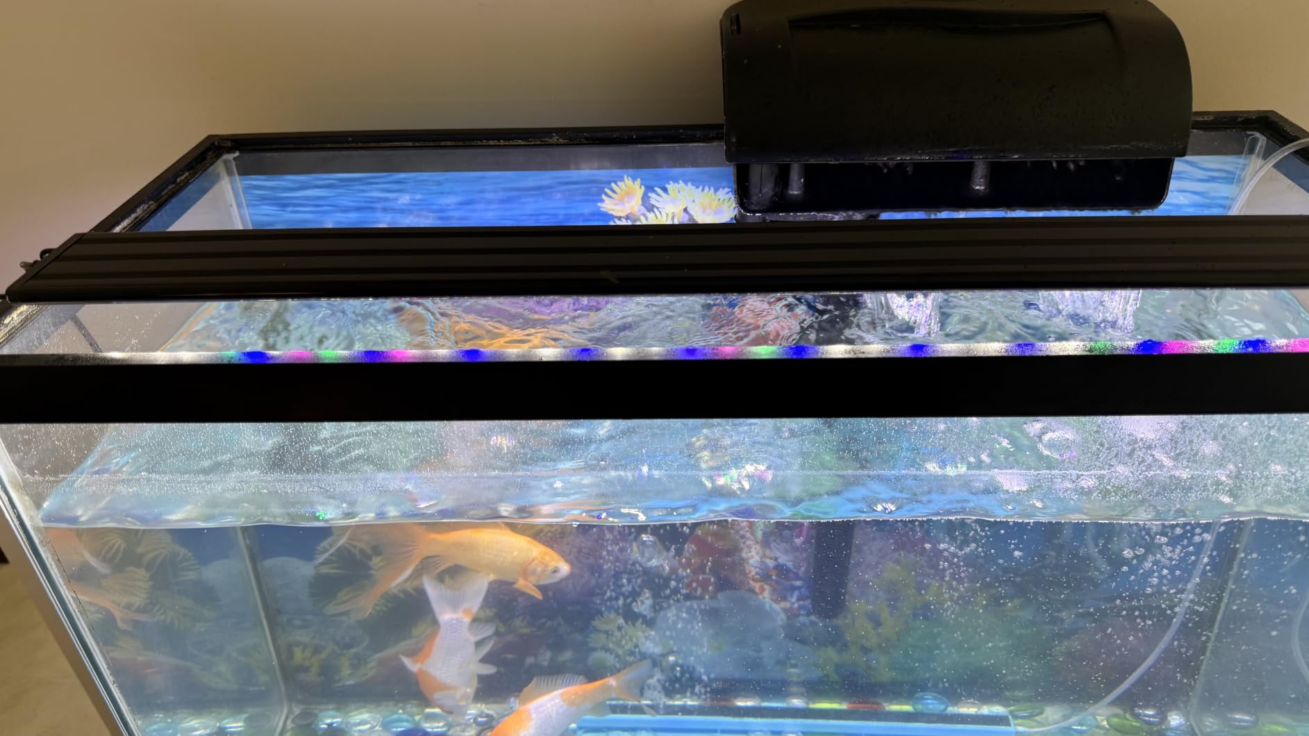 AQUANEAT LED Aquarium Light Full Spectrum 17 Inch Light Body with Extendable Brackets for 18 Inch to 24 Inch Fish Tank Light Fresh Water customer photo 2