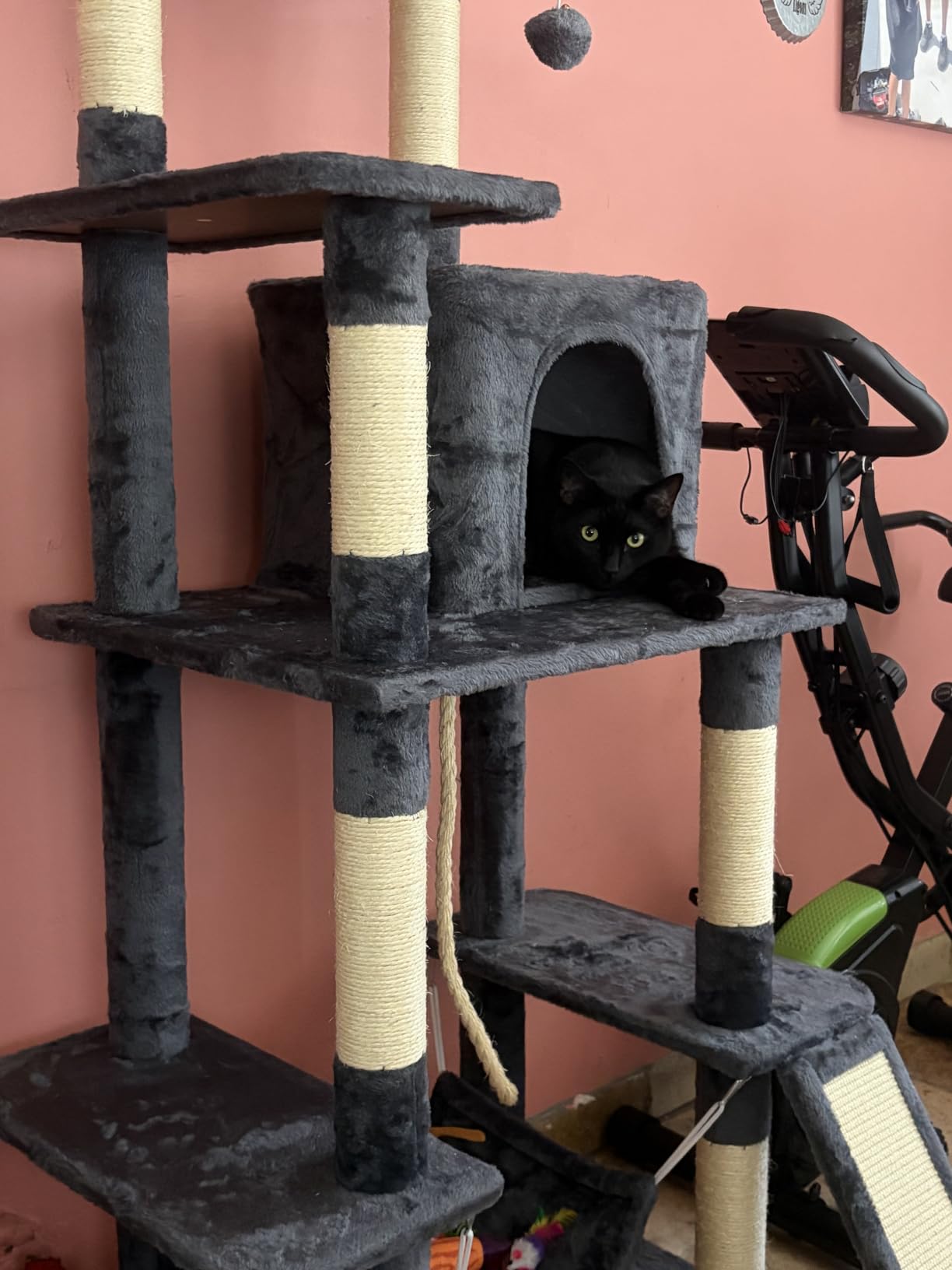 Yaheetech 63in Large Cat Tree for Heavy Cats up to 22lbs, Anti-Wobble Tower with Condo & Hammock, Space-Saving for Indoor Multi-Pet Households, Stops Furniture Scratching customer photo 2