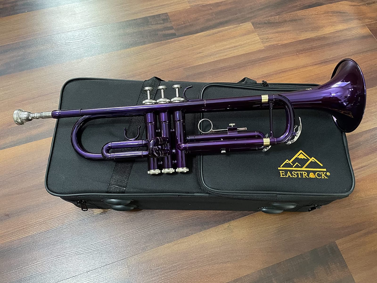 EASTROCK Bb Trumpet Standard Trumpet Set with Carrying Case,Gloves, 7C Mouthpiece and Cleaning Kit (Gold) customer photo 1