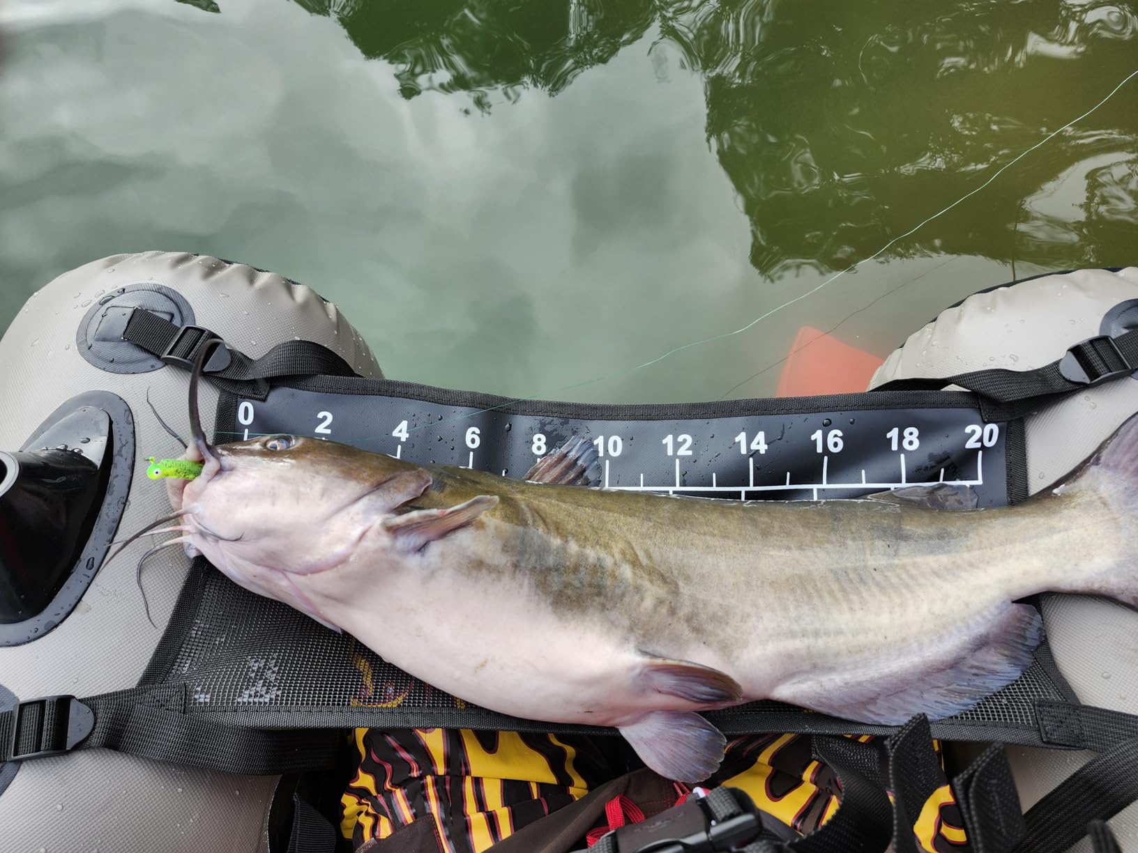Ugly Stik Carbon Spinning Fishing Rod customer photo 1