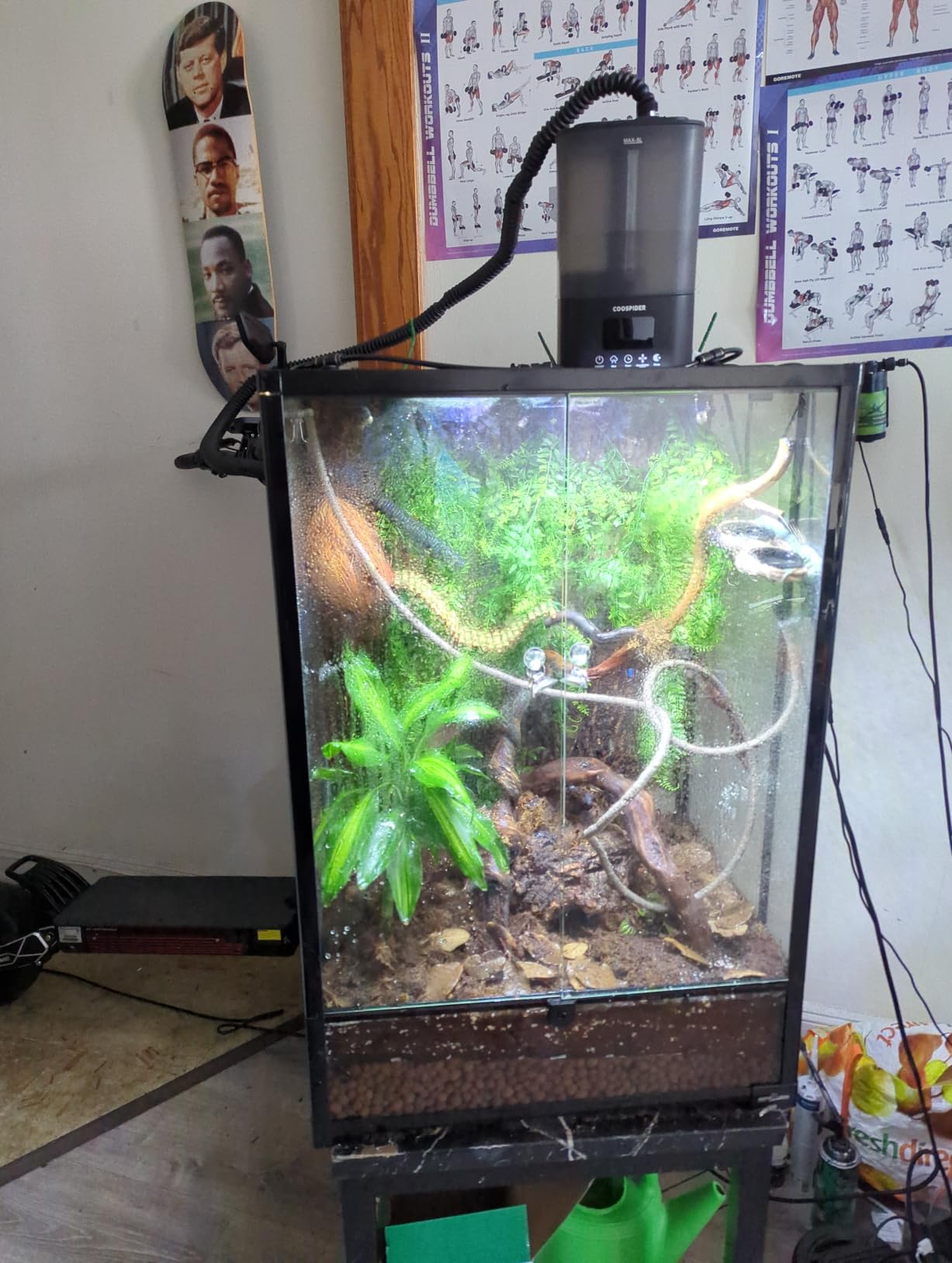 REPTI ZOO 24