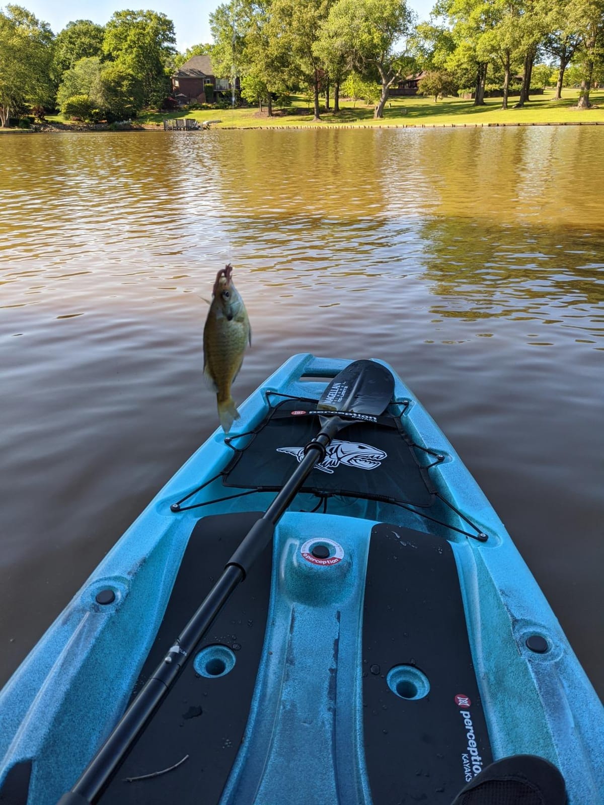 Perception Kayaks Outlaw 11.5 | Sit on Top Fishing Kayak | Fold Away Lawn Chair Seat | 4 Rod Holders | Integrated Tackle Trays customer photo 2