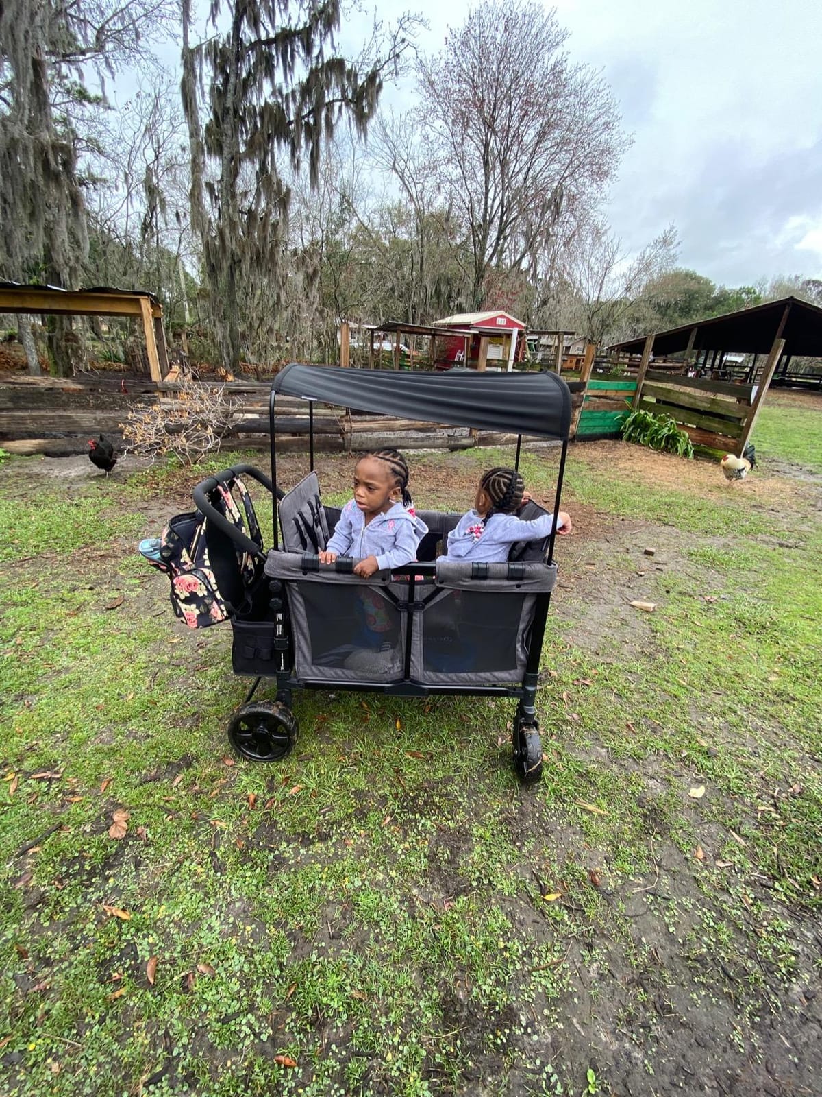 WonderFold W4 Original Stroller Wagon, 4 Seater, Black | Foldable Wagon with an Adjustable Canopy & Deep Carriage, All-Terrain Wheels & 5-Point Harnesses for Babies, Toddlers & Kids customer photo 2