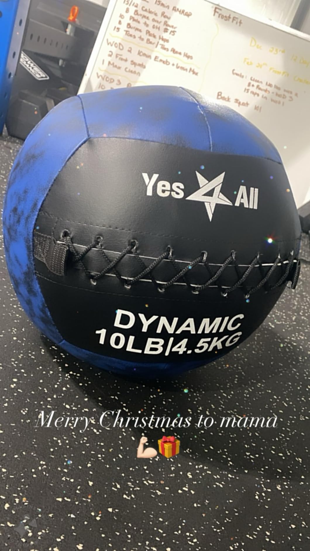 Yes4All Wall Ball, Soft Leather Weighted Iron Sand Ball for Dynamic Multifunctional Exercise, 6 LB - 30 LB customer photo 2