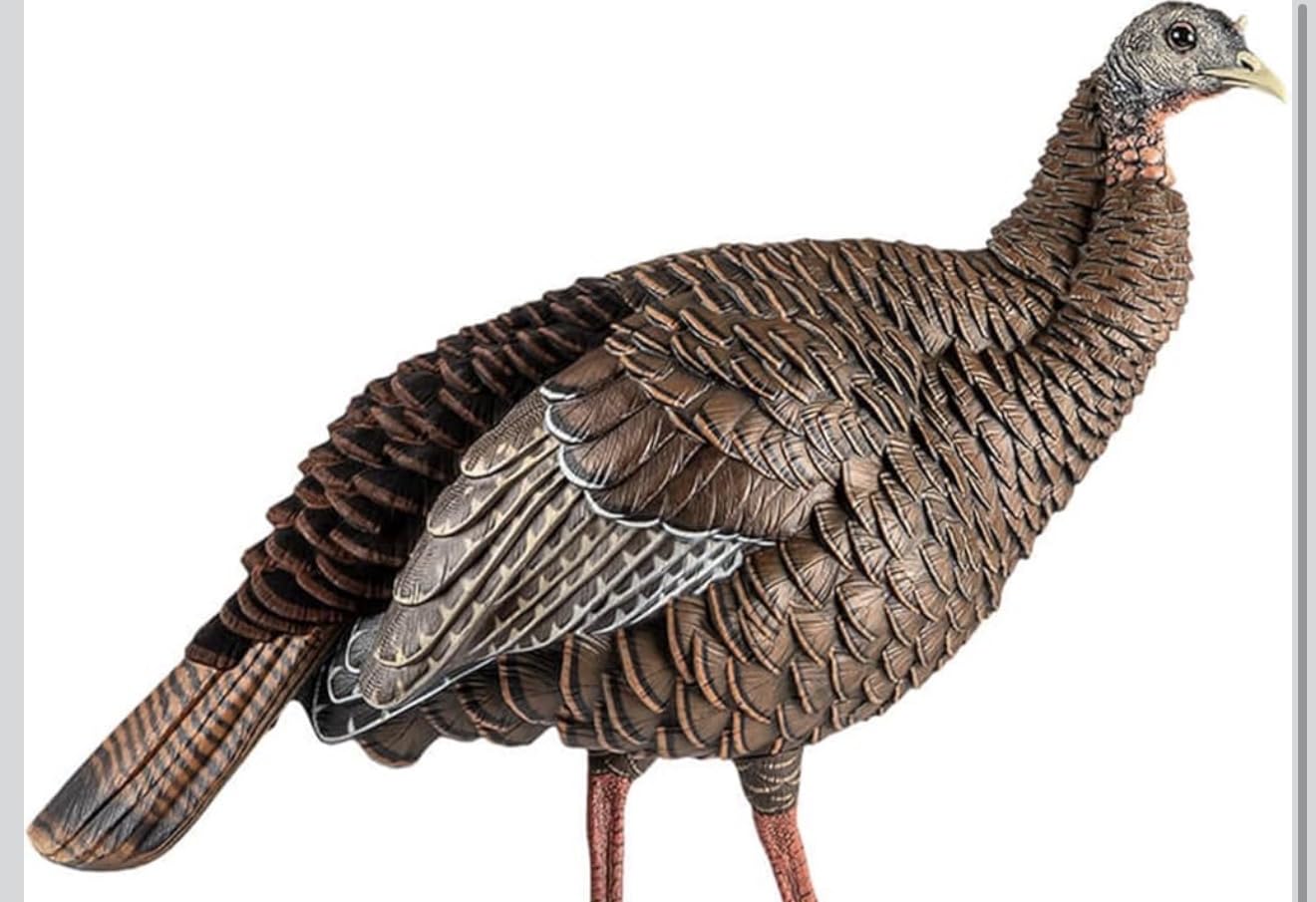 Avian-X HDR Hen Turkey Decoy with 2 Removable Heads, Carry Bag & Integrated Stake, AVX8106 customer photo 2