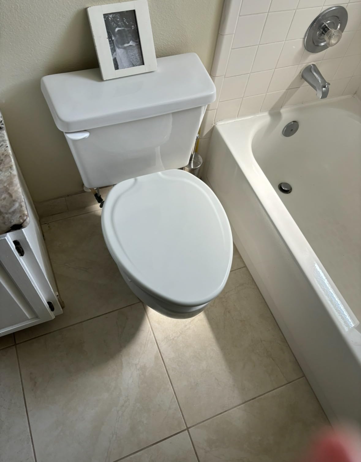 Bemis Assurance 3