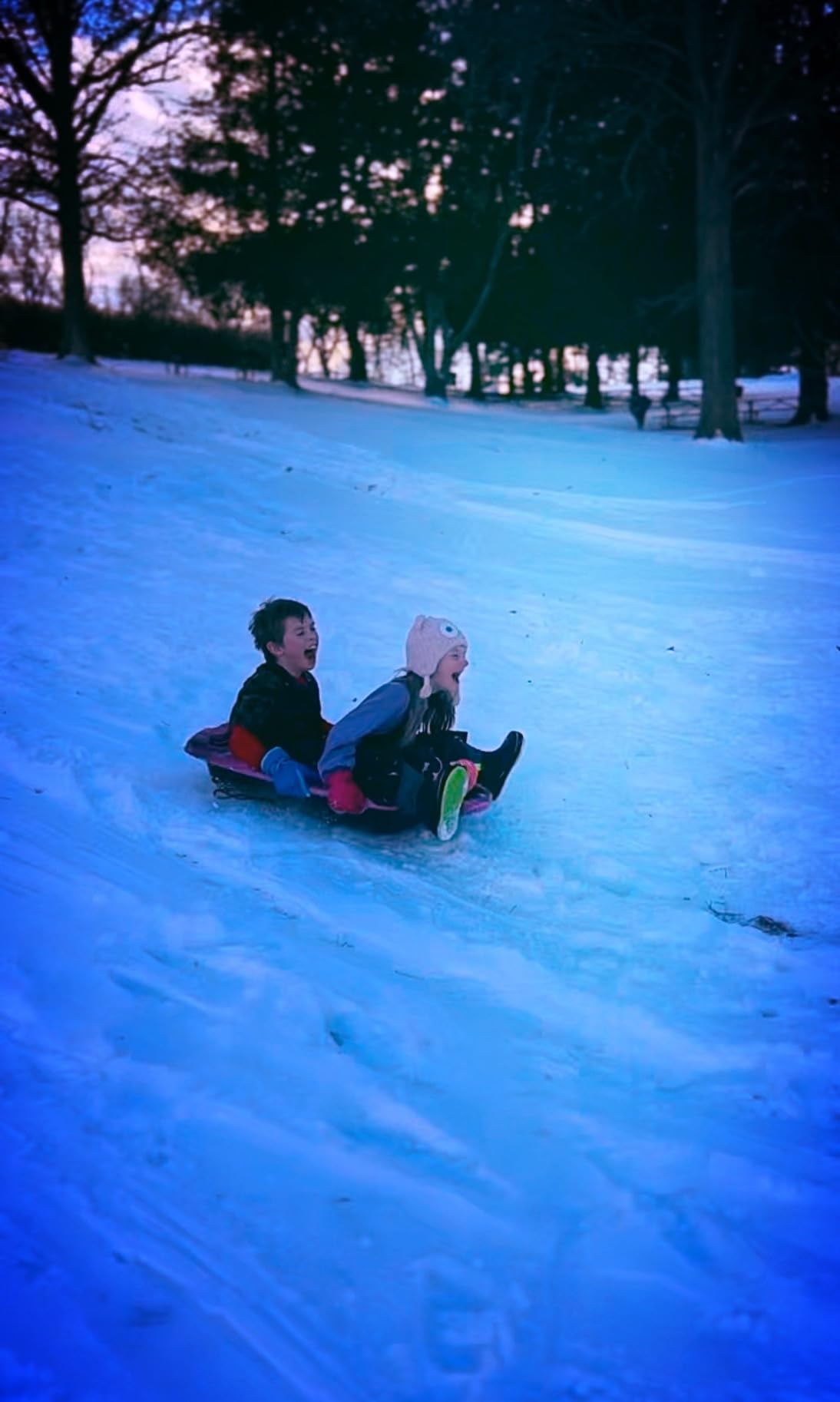Pelican Nomad 40 Sled - 4 Season Sled - Any Outdoors Activities - Carry Up to 90 lb customer photo 2
