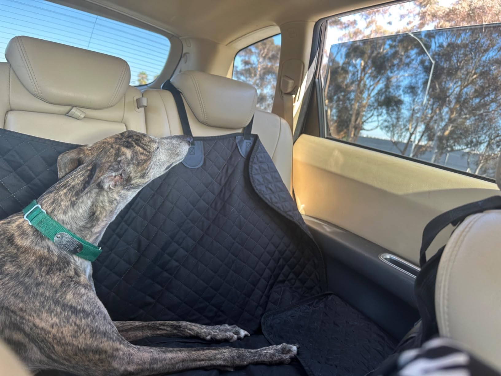 Vailge Dog Car Seat Cover for Back Seat, 100% Waterproof Back Seat Pet Cover for Dogs with Mesh Window, Scratch Prevent Antinslip Dog Hammock for Car customer photo 2