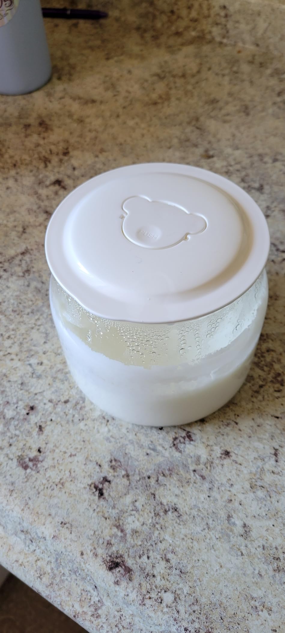 Bear Yogurt Maker, Greek Yogurt Maker Machine with Strainer & Timer Control | Stainless Steel Inner Pot, Automatic Digital with 2 Glass Jars 1 Quart for Home Organic Yogurt, Cheese, Fruit Wine customer photo 1