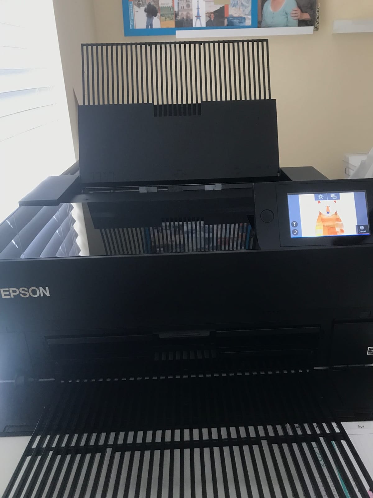Epson SureColor P700 13-Inch Printer, Black | Wireless Connectivity 10-Channel MicroPiezo AMC Printhead for Digital Photo Printing customer photo 2