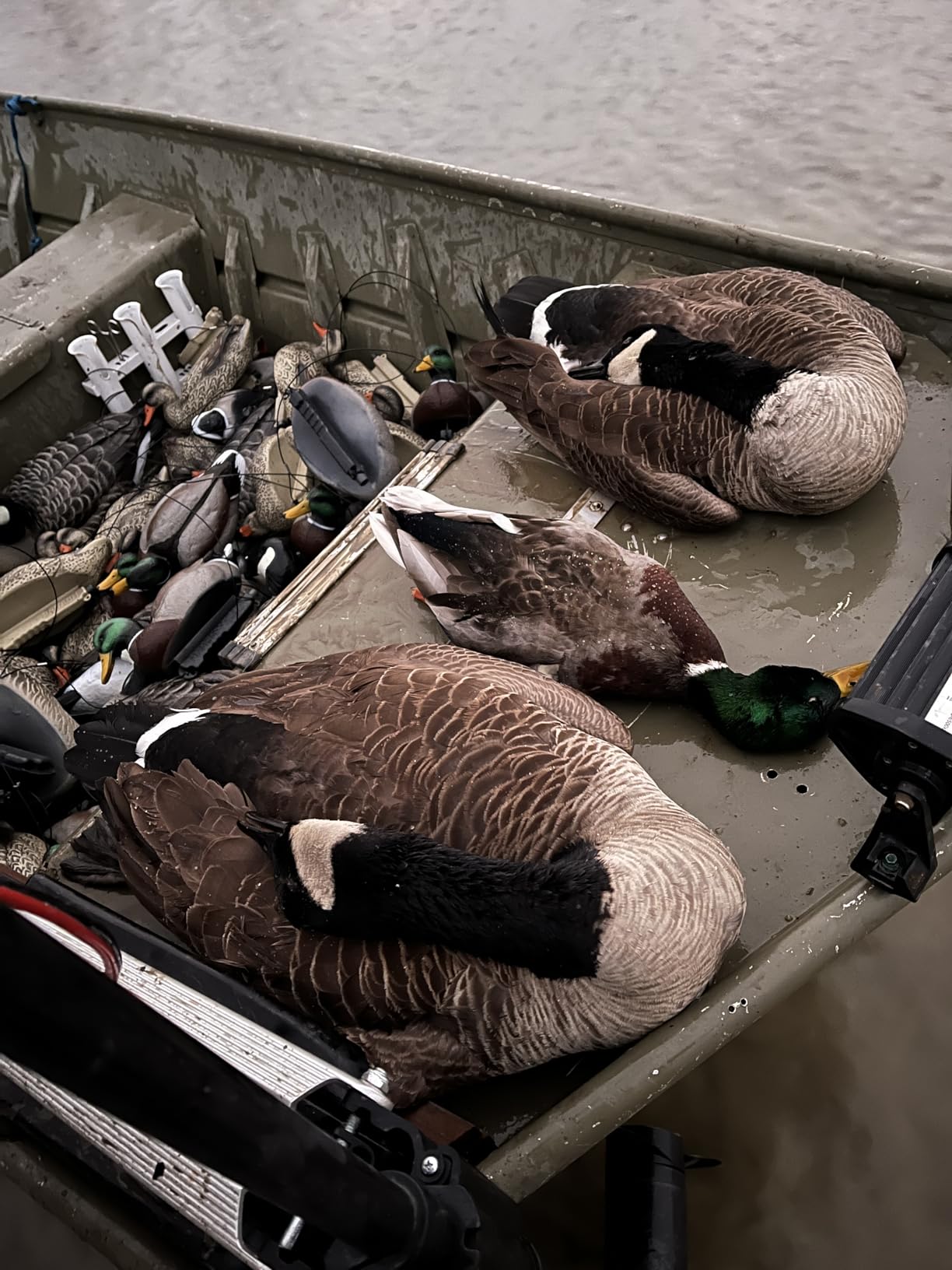 Final Approach Last Pass Mallard Floaters Duck Decoys, 12 Pack customer photo 1