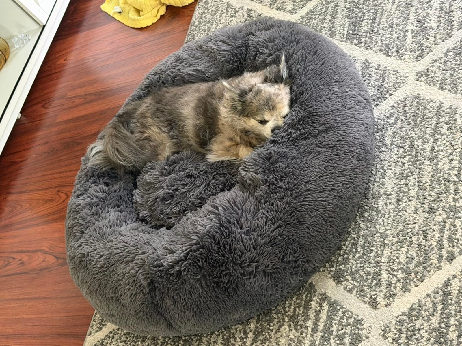 Bedsure Calming Dog Bed Medium Size Dog Donut Washable Pet Bed, 30ins Camel - Oprah Daily Sleep Award, Fluffy Faux Fur Round Cuddler, Anti-Slip Bottom, Anti-Anxiety, Deep Sleep for Pets Up to 45 Lbs customer photo 2