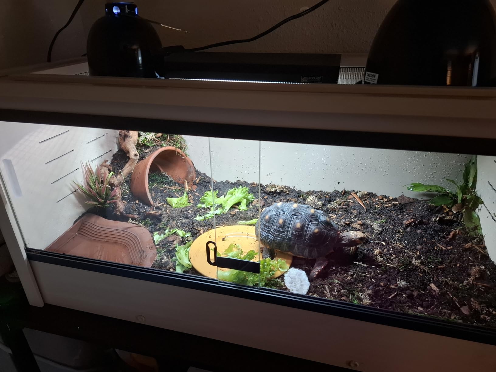 New Age Pet ECOFLEX 48