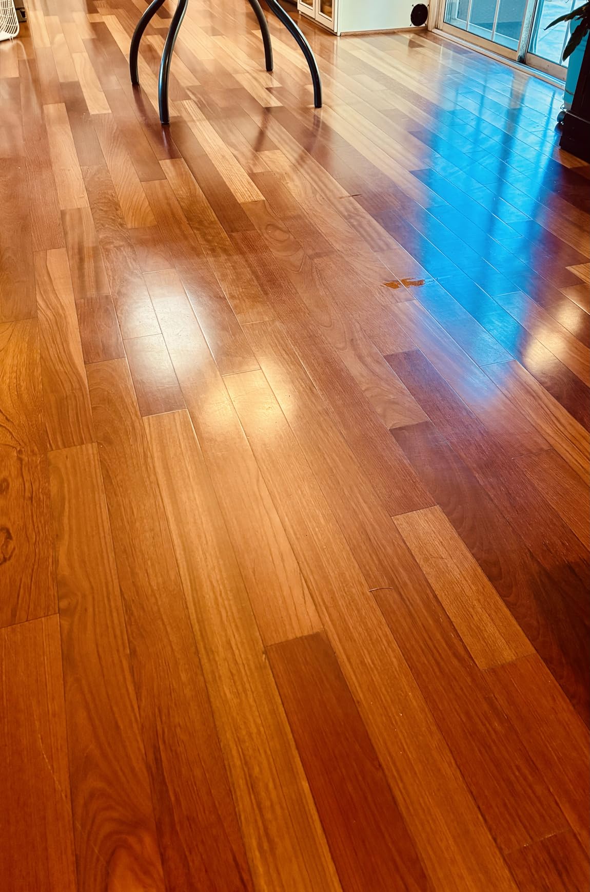 BISSELL SpinWave Hard Floor Expert Corded Spin Mop Cleaner, 20393 | Powerful electric spin mop; washable reusable pads; corded for consistent power on hard floors customer photo 2