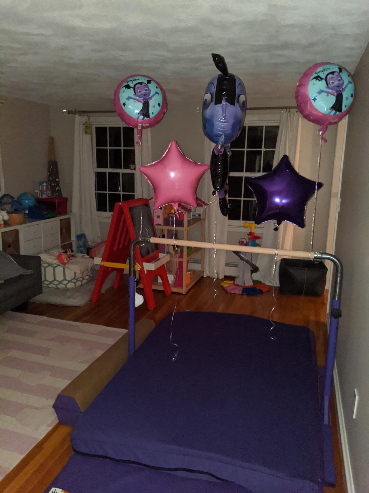Tumbl Trak Adjustable Home Jr Kip Bar, Gymnastics Training Bar for Home and Gym customer photo 1