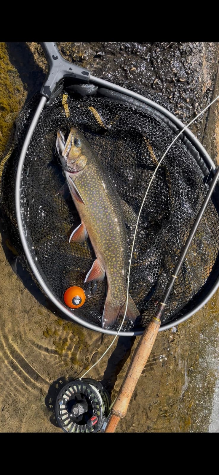 Frabill Floating Trout Net customer photo 2