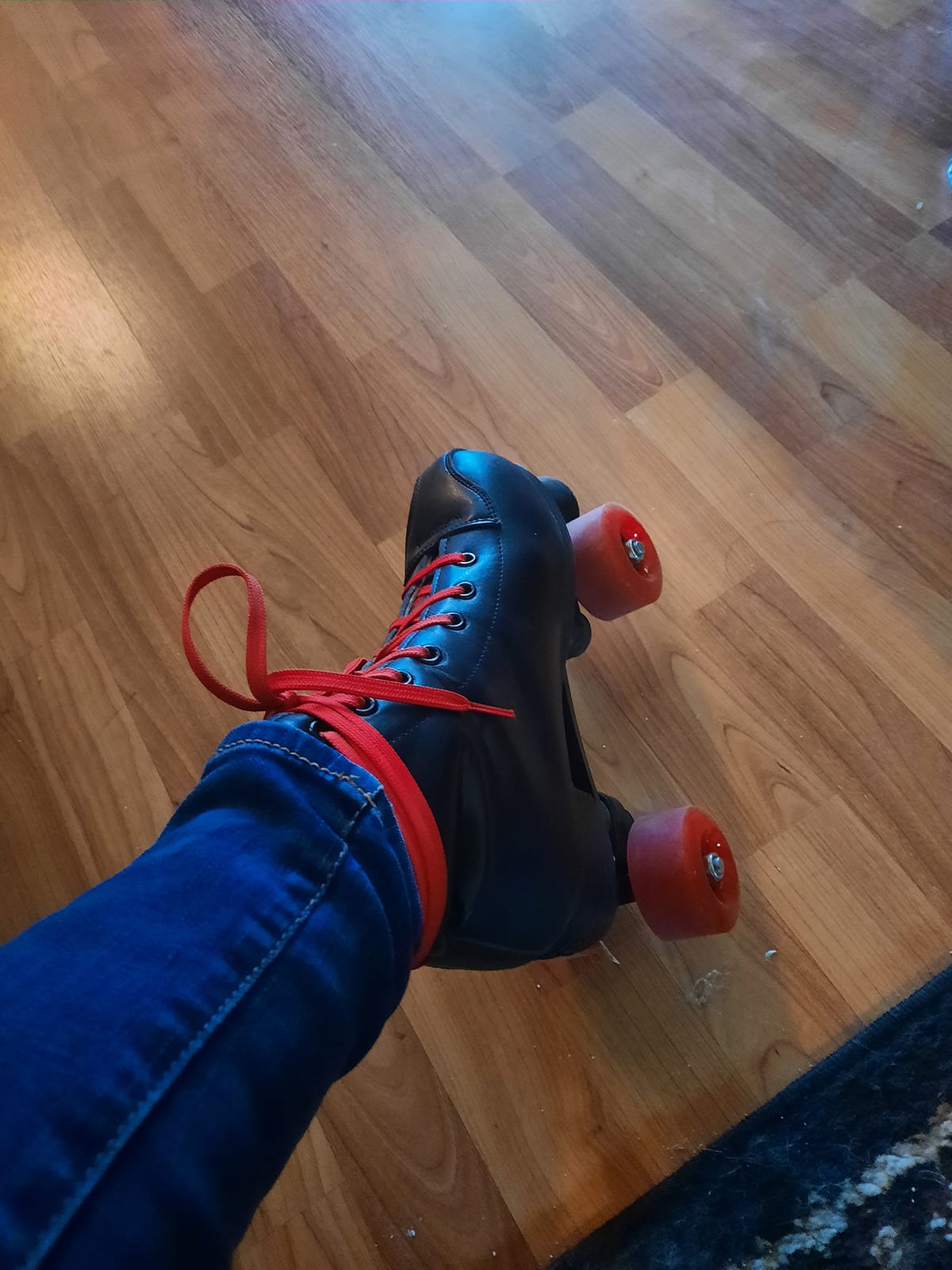 YYW Roller Skates for Women Men, High Top PU Leather Classic Double-Row, Indoor Outdoor, Beginner Shoes Bag customer photo 1