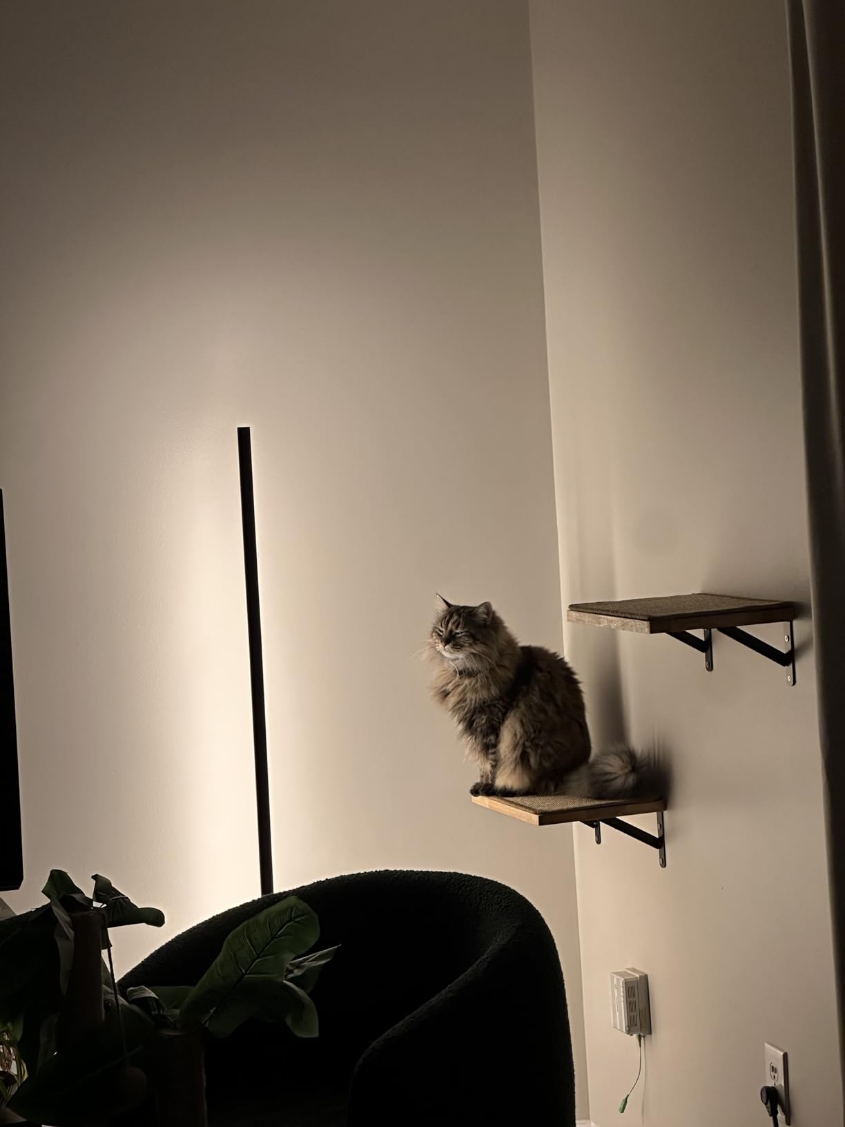 FUKUMARU Cat Wall Shelves, 17 x 10 Inch, Sisal Mat | Solid Rubber Wood Floating Shelf with Upgraded Installation, Kitten Wall Furniture for Sleeping, Playing and Scratching customer photo 1
