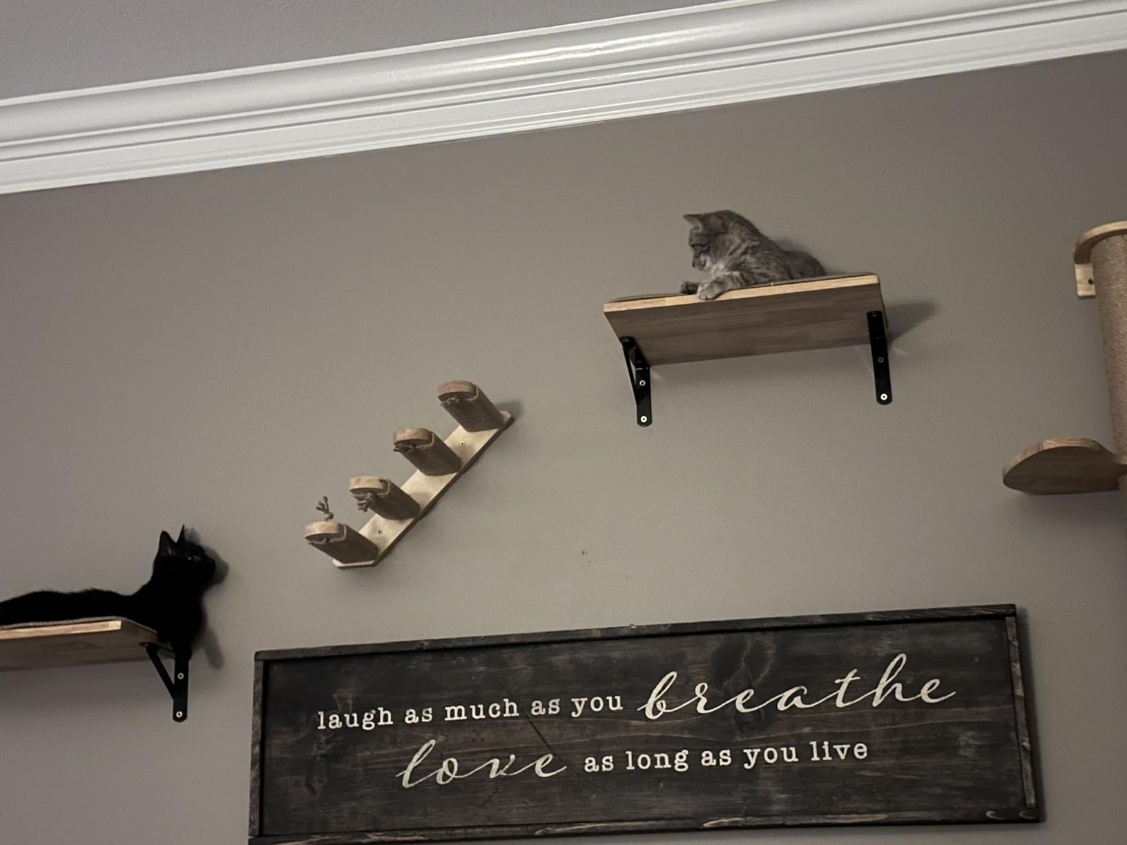 FUKUMARU Cat Wall Shelves, 17 x 10 Inch, Sisal Mat | Solid Rubber Wood Floating Shelf with Upgraded Installation, Kitten Wall Furniture for Sleeping, Playing and Scratching customer photo 2