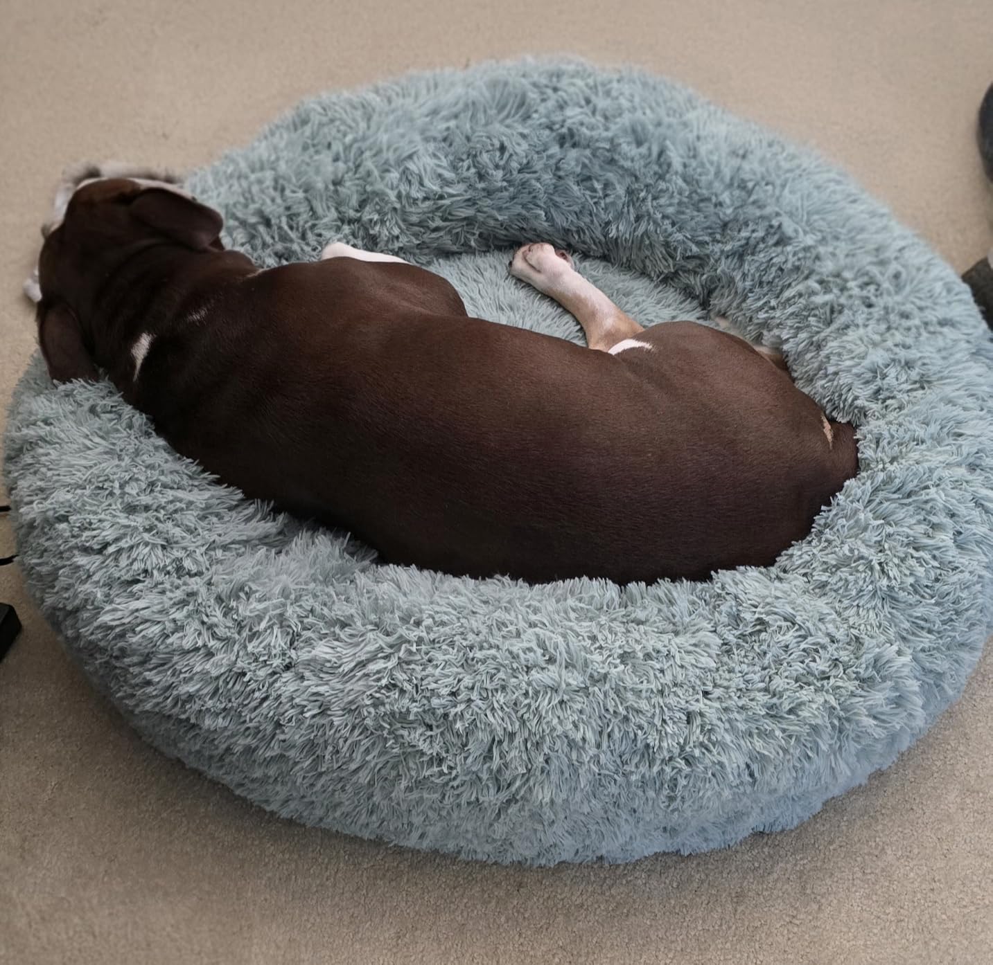 Bedsure Calming Cat Beds Donut Round Washable Kitten Bed,20 inches Camel | Fluffy Faux Fur Cuddler,Machine Washable,Anti-Slip Bottom,Anti-Anxiety,Deep Sleeping for Cats&Small Pets Up to 15 Lbs customer photo 1