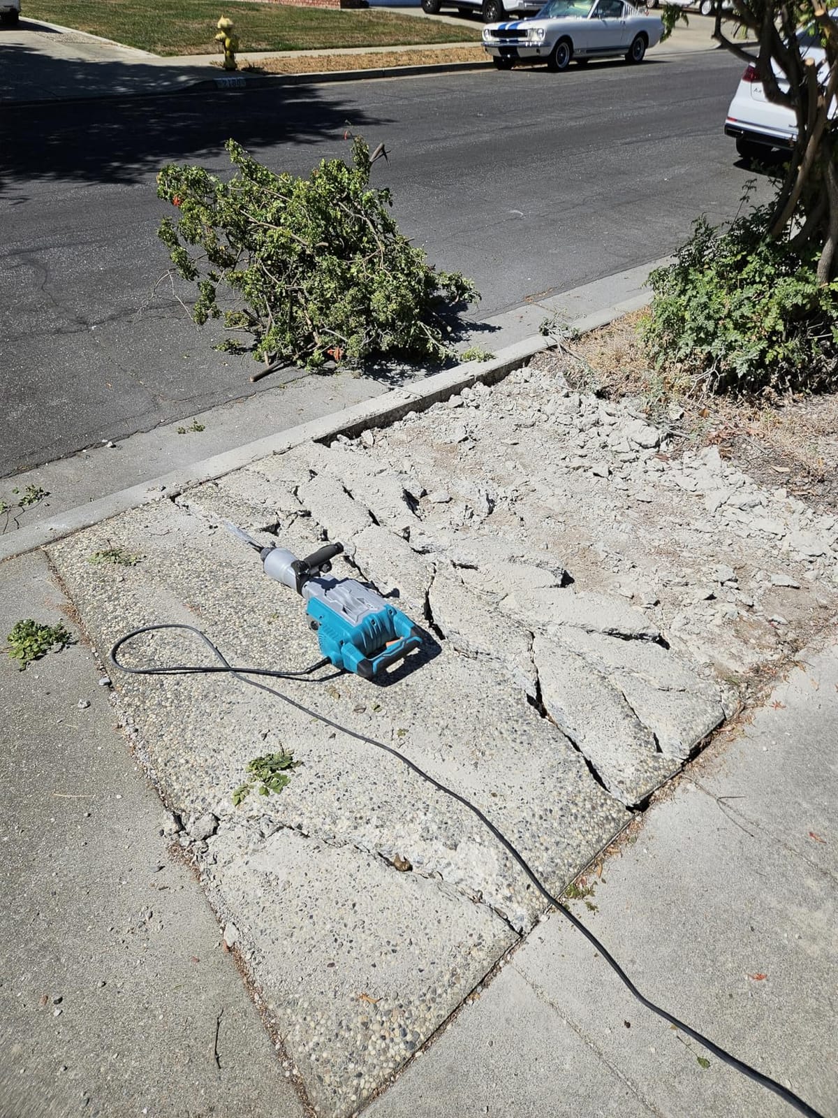 Berserker 1700W 30-Pound Demolition Jack Hammer 65F with 1-3/16