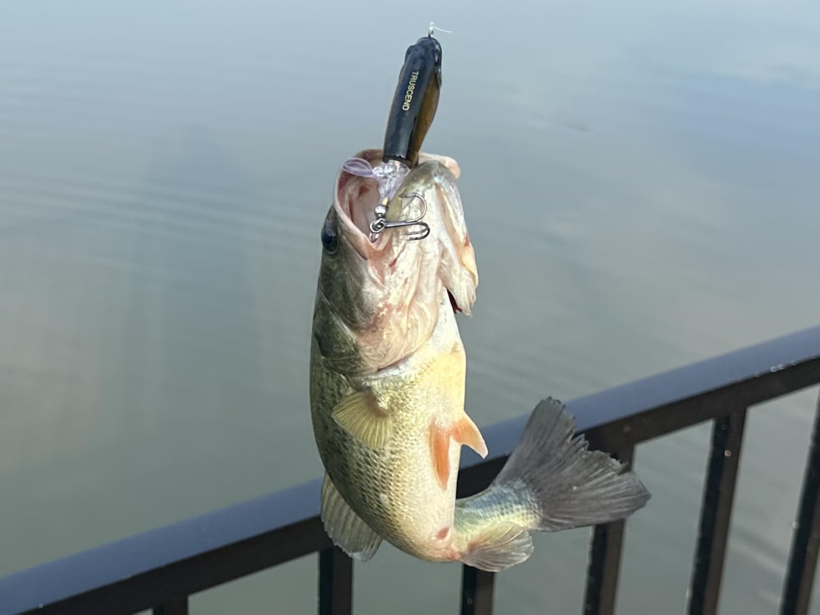 TRUSCEND Popobait Easy Catch Fishing Lures with BKK Hooks, Instant Startup, Longer Cast, Balanced Spray/Sound/Swim, Plopper Topwater Lures for Bass, Trout, Pike, Walleye, Freshwater Saltwater Fishing customer photo 2