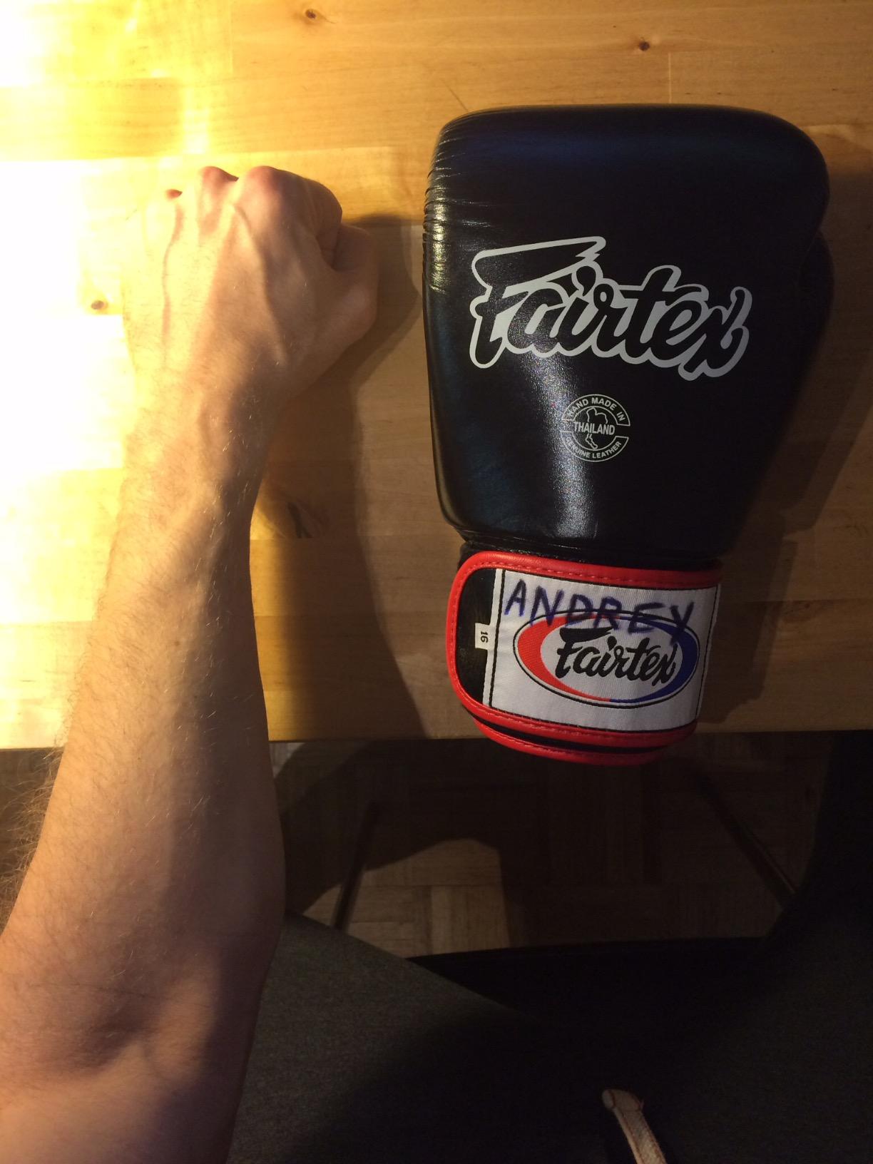 Fairtex BGV1 Muay Thai Boxing Training Sparring Gloves for Men, Women, Kids | Premium Quality, Light Weight & Shock Absorbent Boxing Gloves | Handcrafted in Thailand with premium cowhide leather customer photo 1