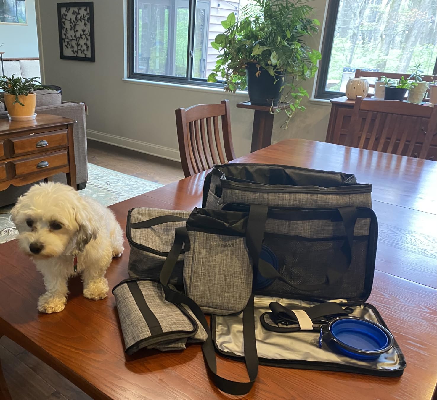6 Set Dog Travel Bag, Large Pet Travel Kit for Supplies, Grey | Includes 2 Food Containers, 1 Pet Organizer for Dogs, 2 Collapsible Bowls, 1 Treat Pouch, Dog Weekend Overnight Bag Luggage customer photo 1