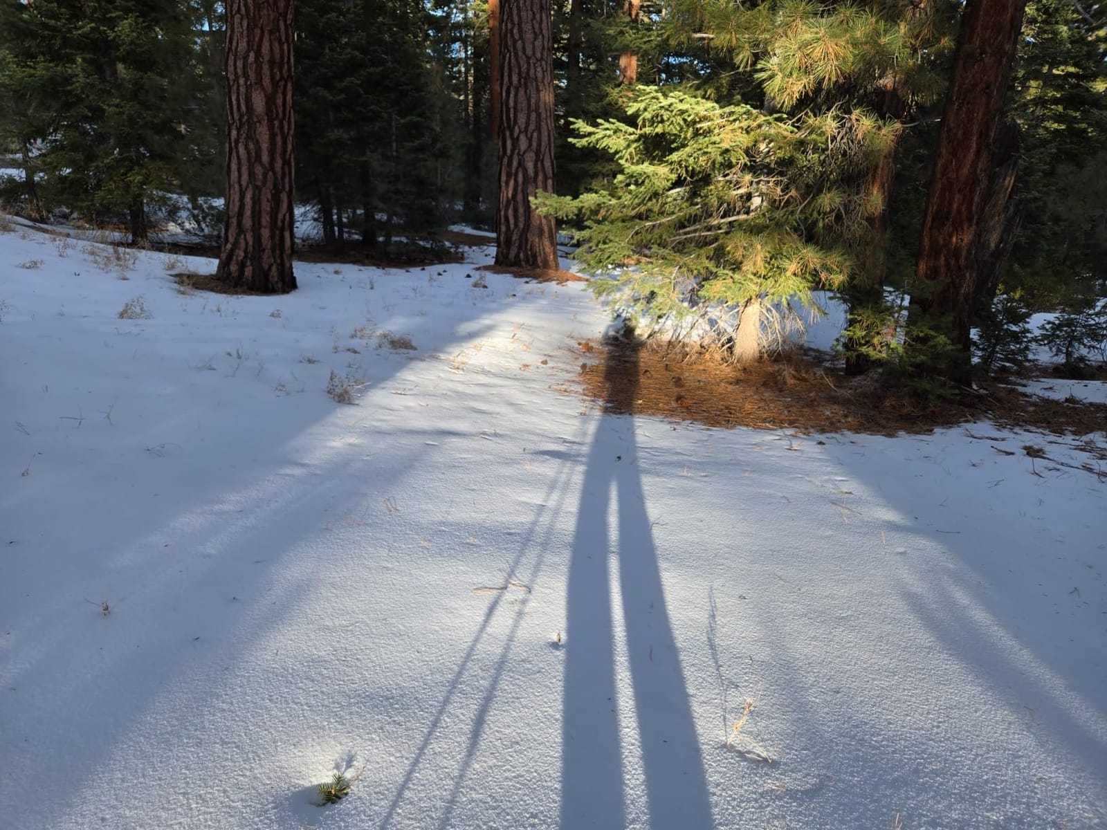G2 21/25/30/36 Inches Light Weight Snowshoes with Trekking Poles, Tote Bag, Special EVA Padded Ratchet Binding, Heel Lift, Toe Box customer photo 1