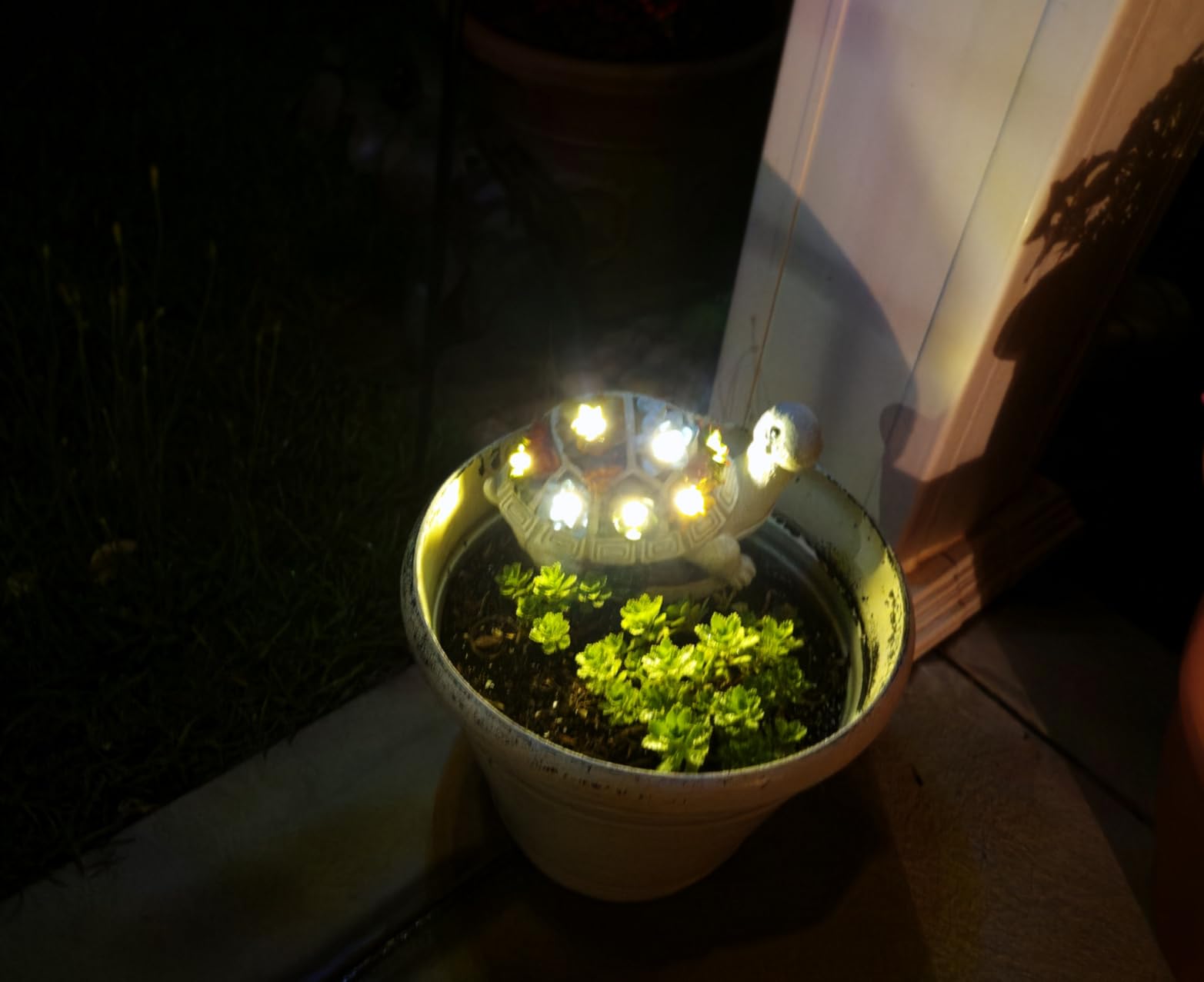 Nacome Solar Turtle Garden Statue - Succulent & 7 LED Lights, Outdoor Decor | Warm glow for patio, porch, lawn and backyard customer photo 1