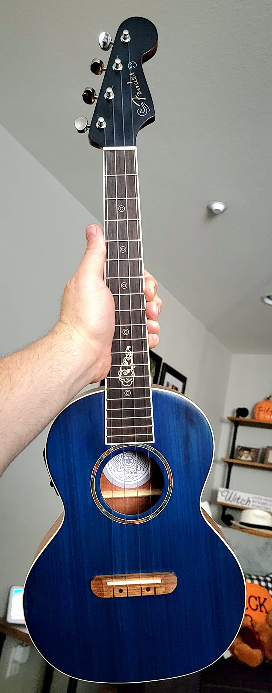 Fender Dhani Harrison Tenor Ukulele, Sapphire Blue, with Gig Bag customer photo 2