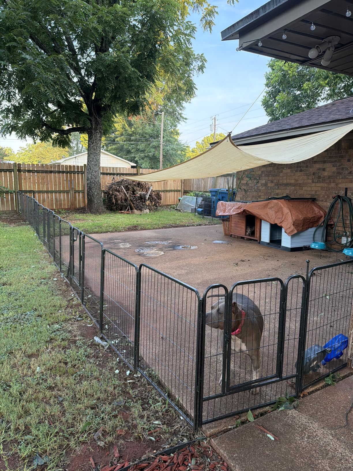 Dog Playpen, 32/40/45 Inch Height in Heavy Duty, Folding Indoor Outdoor Anti-Rust Dog Exercise Fence, Portable Pet Playpen with Door for Large Medium Small Dogs and Pet (16 Panels, 32 Inch) Silver customer photo 1