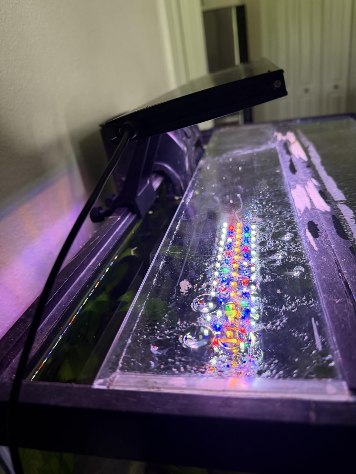 hygger Clip On 24/7 Lighting Aquarium LED Light, Sunrise-Daylight-Moonlight and DIY Mode, Adjustable Timer/Brightness Fish Tank Light with 7 Colors for Planted Tank (14W for 12~20in Tank) customer photo 1